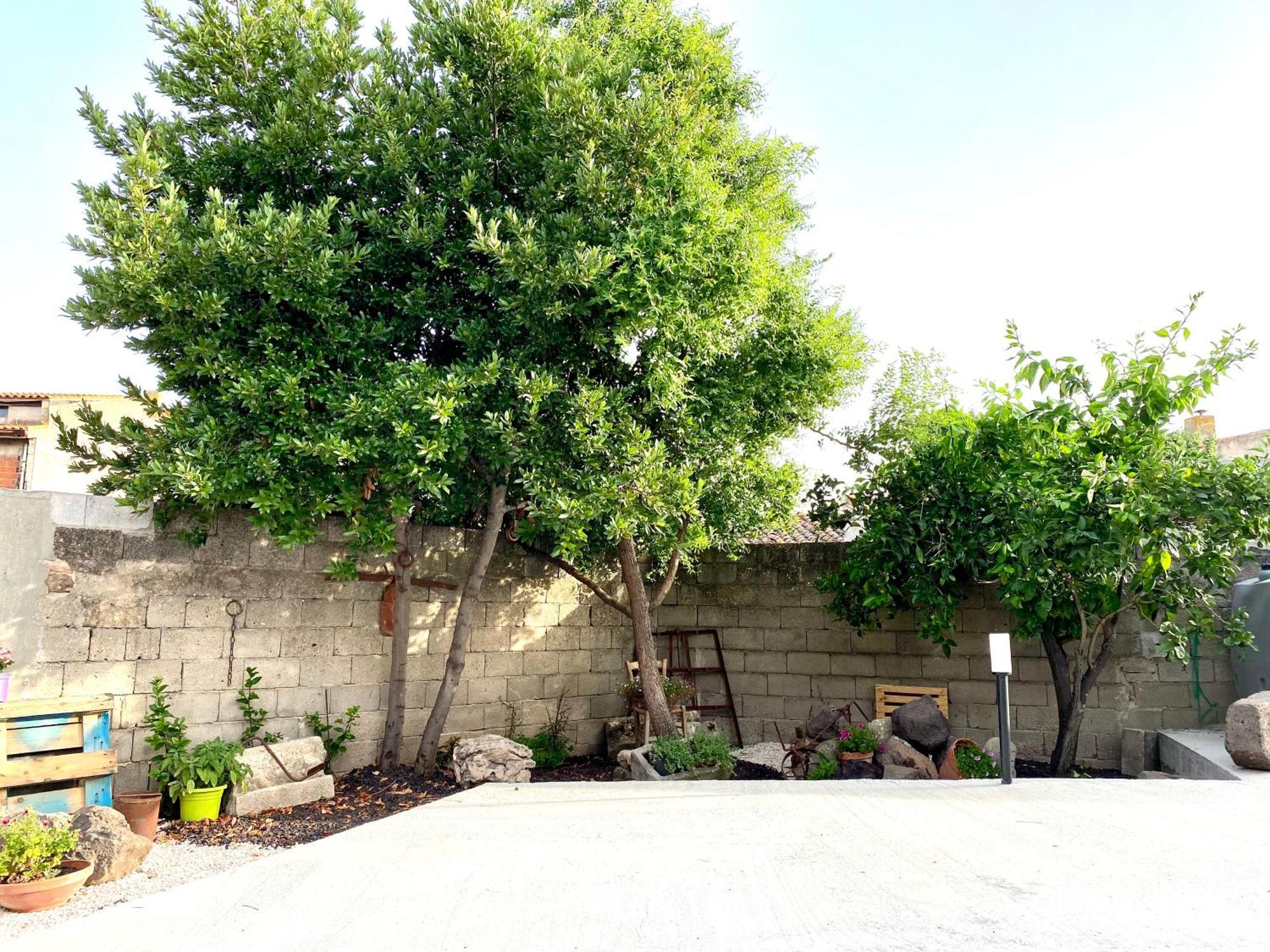San Vero MilisCasa Mora公寓 外观 照片